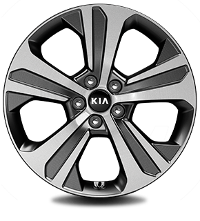 235/55R 19“ Alloy wheel (Optional on EX)