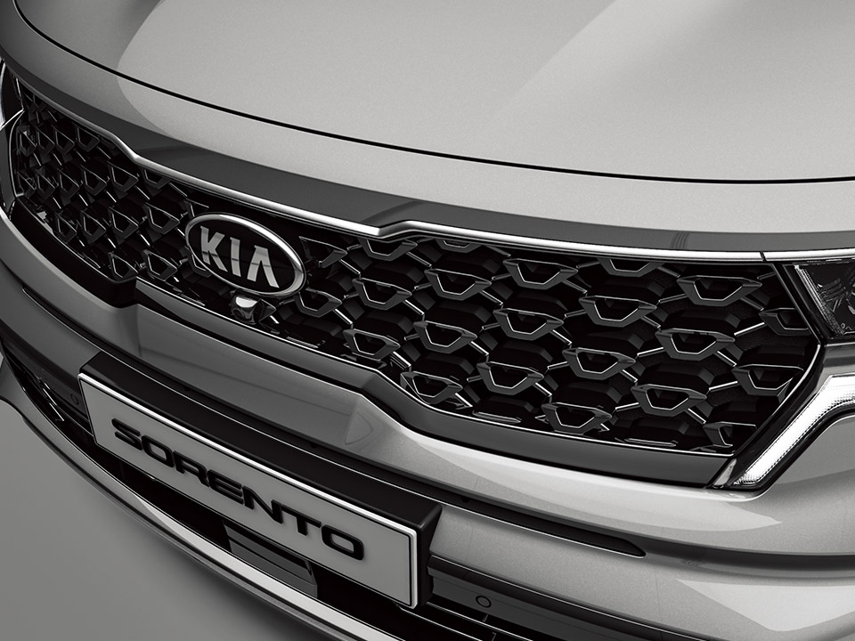 Radiator grill (Glossy black paint)