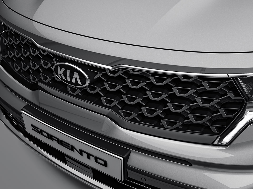 Radiator grill (Black paint)